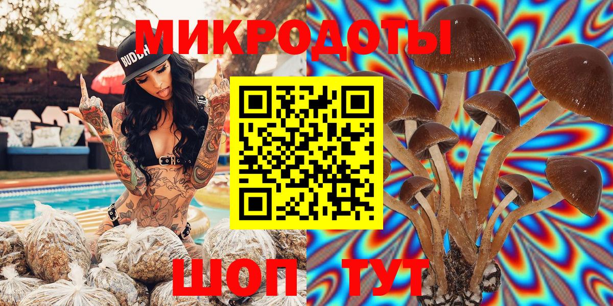 Кемерово  Псилоцибиновые грибы Magic Shrooms  купить  сайты  Вход с VPN 